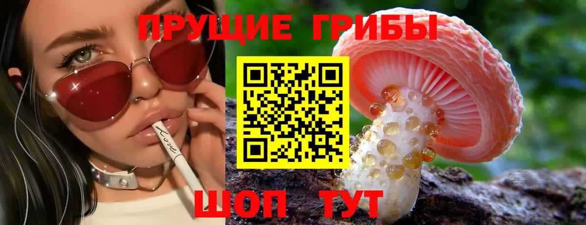 Волжский  продажа наркотиков  Вход с VPN  Псилоцибиновые грибы прущие грибы  Галлюциногенные грибы Psilocybine cubensis 